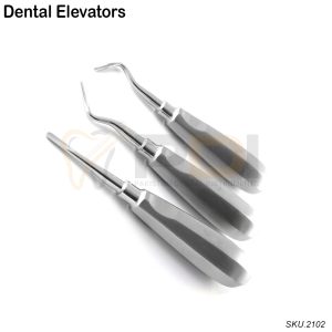 Dental Elevator