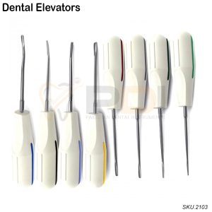 Dental Elevator